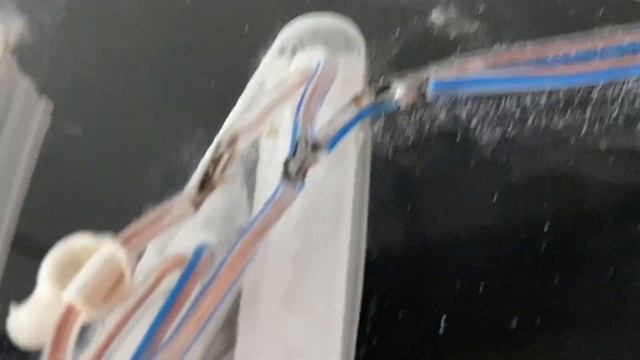 Забрал неоновую вывеску для канала и охренел, немного очумелых ручек в ленту #intellekent смотреть онлайн