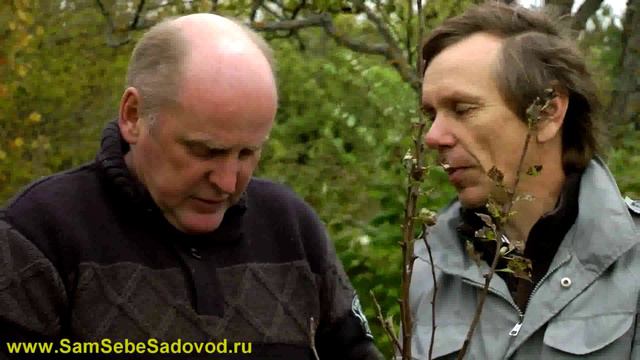 23 - Подготовка сада к зиме смотреть онлайн