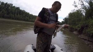 Рыбалка на протоке . Река ОБь Протока узенькая. Рыбалка в Сузуне