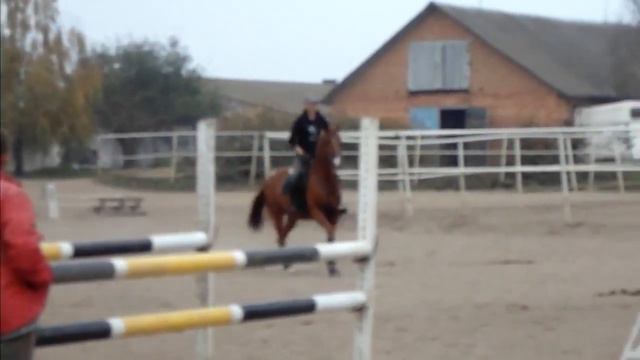 аня смотреть онлайн