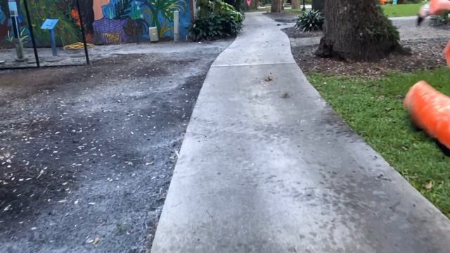 Morning Walk With James The Flamingo смотреть онлайн