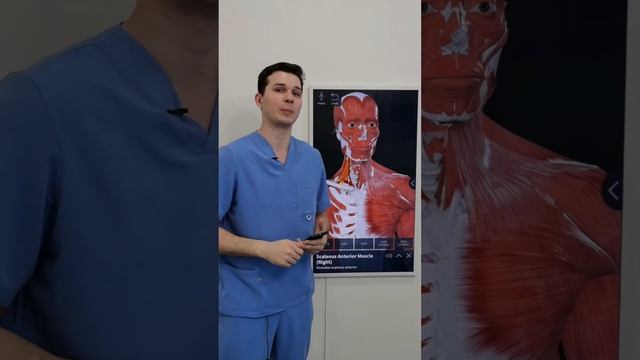 СИНДРОМ ЛЕСТНИЧНОЙ МЫШЦЫ. Причина боли в шее и онемения рук смотреть онлайн