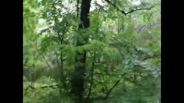 Вюнсдорф вч п п 80340 Лето 1990 г смотреть онлайн