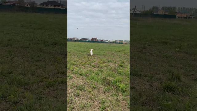 10 мая 2023 г. смотреть онлайн