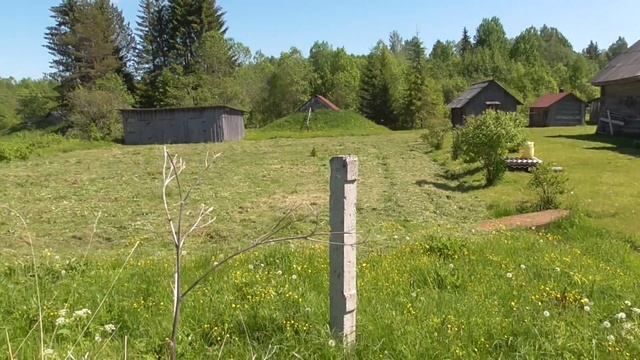 Пешком в Тимониху смотреть онлайн