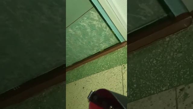 У заведующей отделением поликлиники. Отстаиваю своё право быть без н@мордника смотреть онлайн
