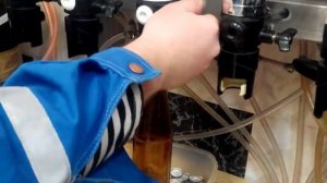 розлив пива в стеклянную бутылку через Пегас