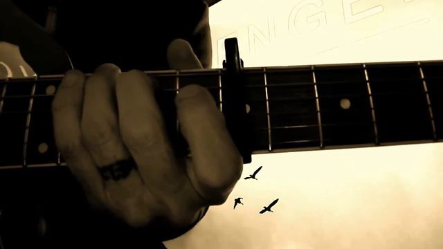 Leonardo Serasini - Beautiful Birds (Cover By Passenger Feat. Birdy/ Tutorial For Guitar Chords)