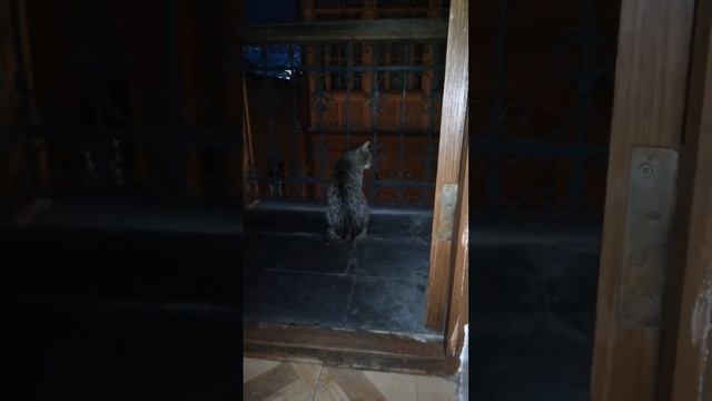 О чем ночные думы Толстика? Возможно, о предательстве Глазастика...