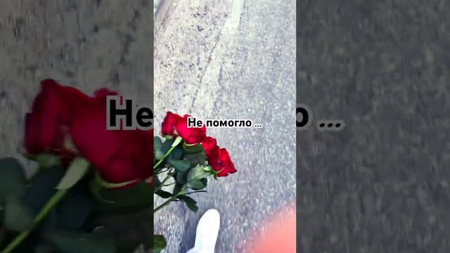 Любовь обманчива ❤️ #рек #топ #тюмень #новыйтрек #врек #любовь #лайки #новая #зеркало #nlo смотреть онлайн