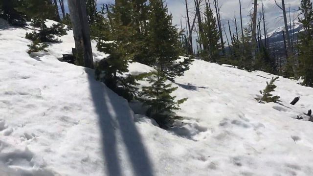 Воздержание,американцы и Yellowstone