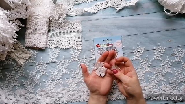 Обзор дизайнерской посылки от  Ladybug