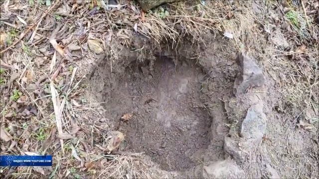 Где залежи золота в Черноземье смотреть онлайн