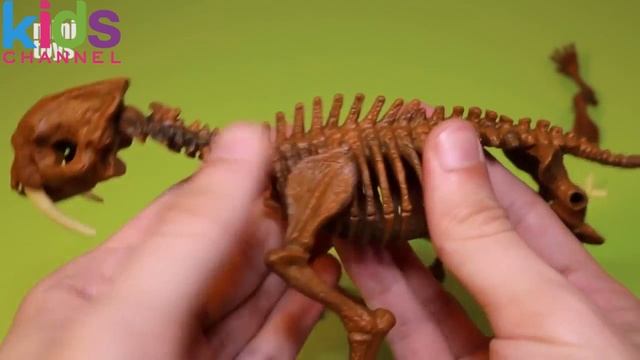 Dino Toys Smilodon Dinosaur Skeleton Fossils Skull Molding - KidsChanel смотреть онлайн