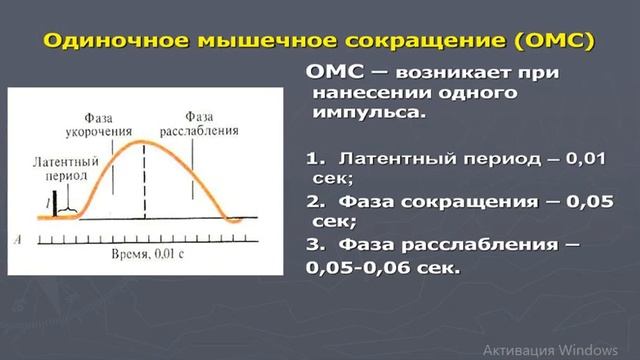 Виды мышечного сокращения смотреть онлайн
