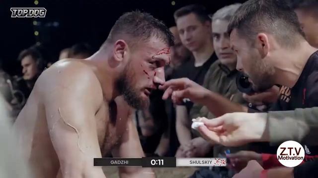Гаджи Автомат Highlights Top Dog смотреть онлайн