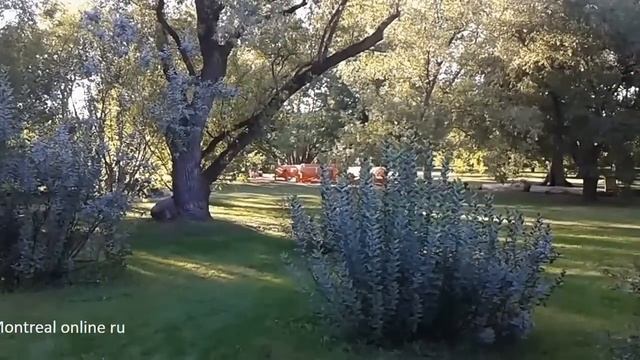 Монреаль : ботанический сад в сентябре смотреть онлайн