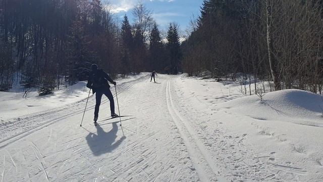 поездка в Горнолыжный курорт Байришцелль с турклубом ГОРОД - катание на беговых лыжах смотреть онлайн
