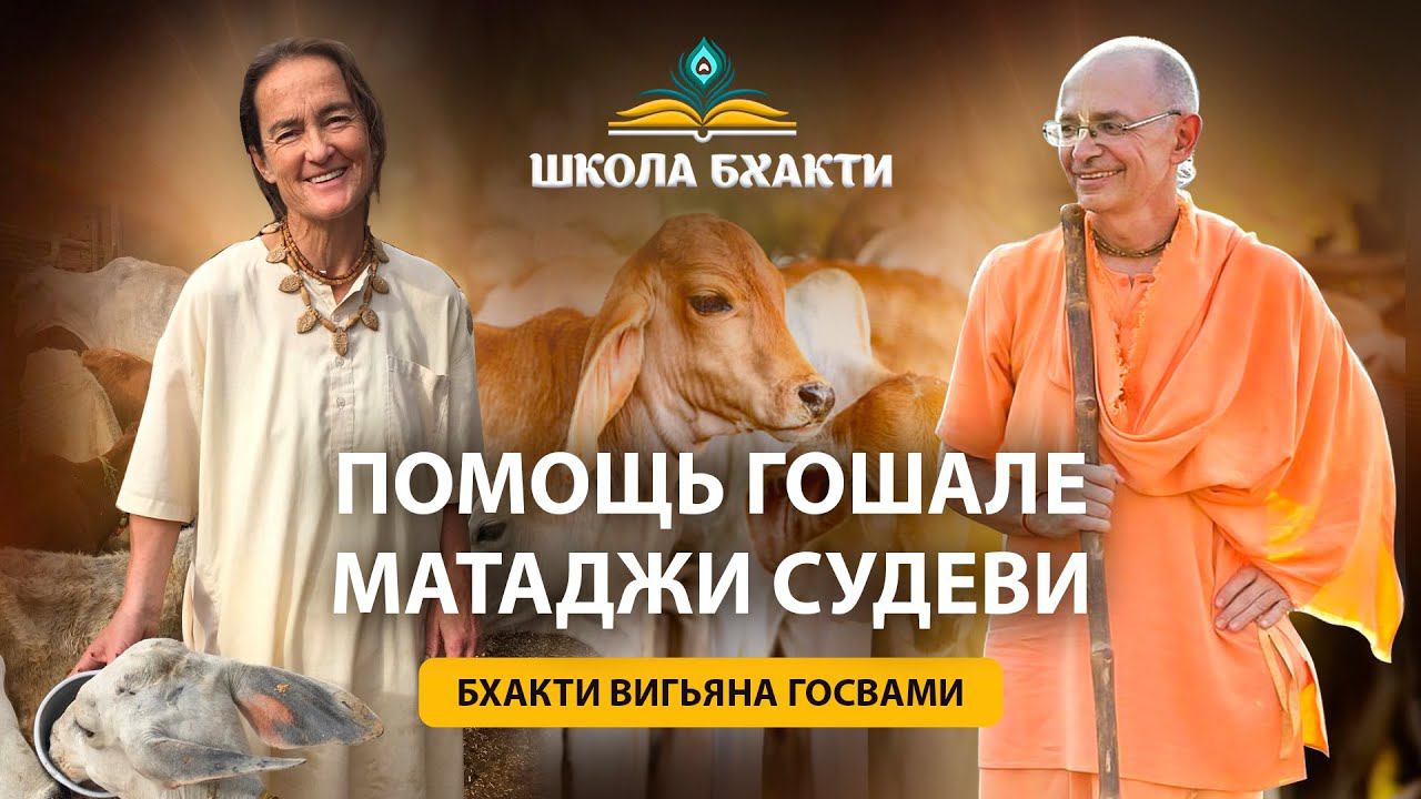 Гошала Радха Сурабхи во Врадже. Помощь Матаджи Судеви в ее героическом служении Кришне. смотреть онлайн