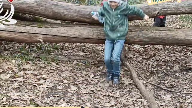 Поход в Шиловский лес. Группа продлённого дня. Воронеж. Детский центр "Твёрдый знак" смотреть онлайн