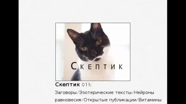 Скептик 011: Заговоры/Эзотерические тексты/Нейроны равновесия/Открытые публикации/Витамины смотреть онлайн