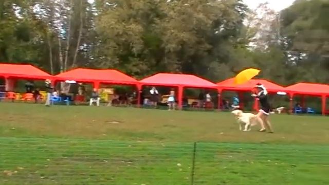 Платонова Алена Фристайл Дети 2 место смотреть онлайн