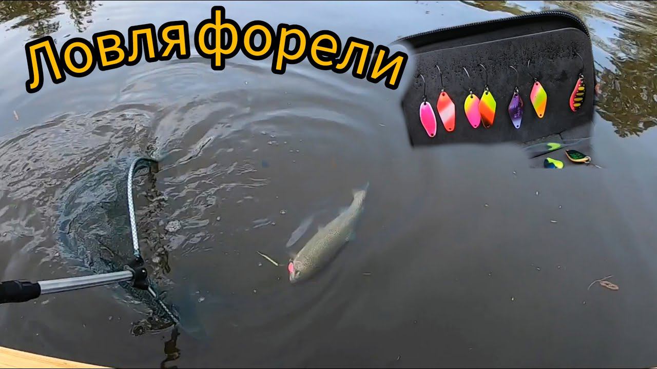 Ловля форели на спиннинг! Рыбалка в Голицыно Fish. смотреть онлайн