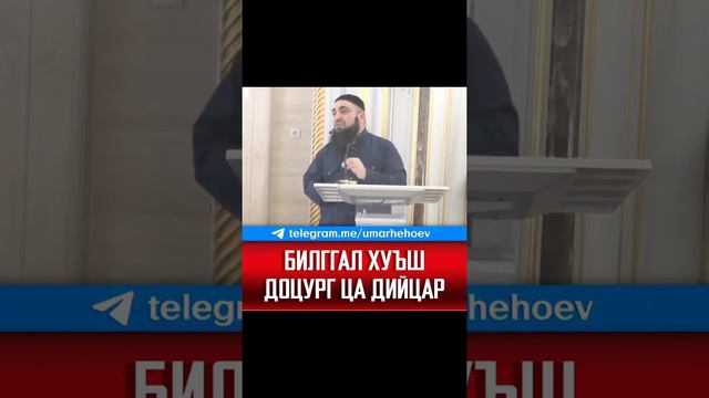 УМАР ХЕХОЕВ БИЛГГАЛ ХУЪШ ДОЦУРГ ЦА ДИЙЦАР ХЬЕХАМ смотреть онлайн