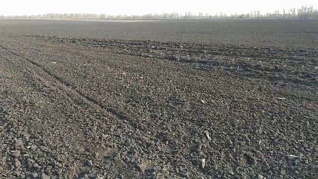 Завершуємо ранньо-весняні польові роботи//камера заднього виду смотреть онлайн