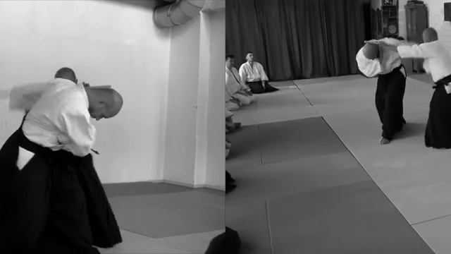 5 Gyakuhanmi ura ikkyo, nikyo, sankyo, yonkyo & gokyo JT