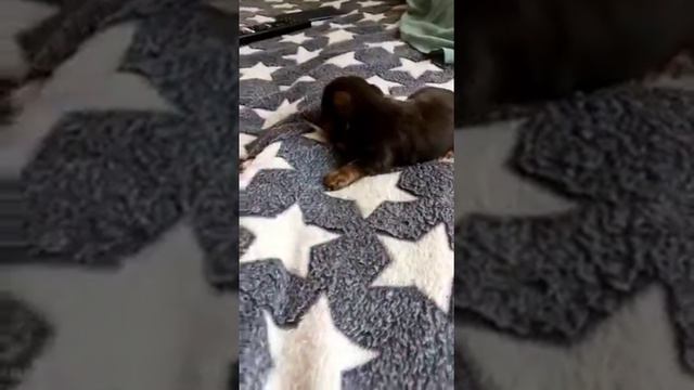 4e8a2b7c смотреть онлайн