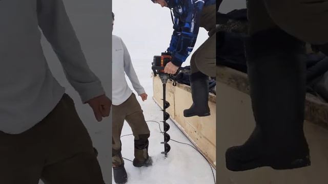 19 апреля 2021 г. смотреть онлайн