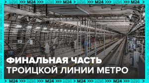 В столице утвердили проект планировки финальной части Троицкой линии метро - Москва 24