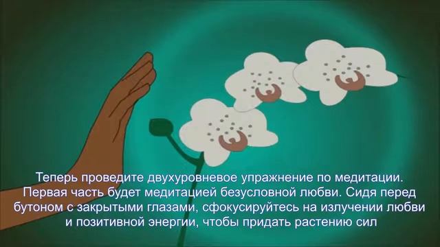 Агрокинез Телекинез обучение Как управлять растениями Как научиться магии природы(ЗЕРКАЛЬ) смотреть онлайн