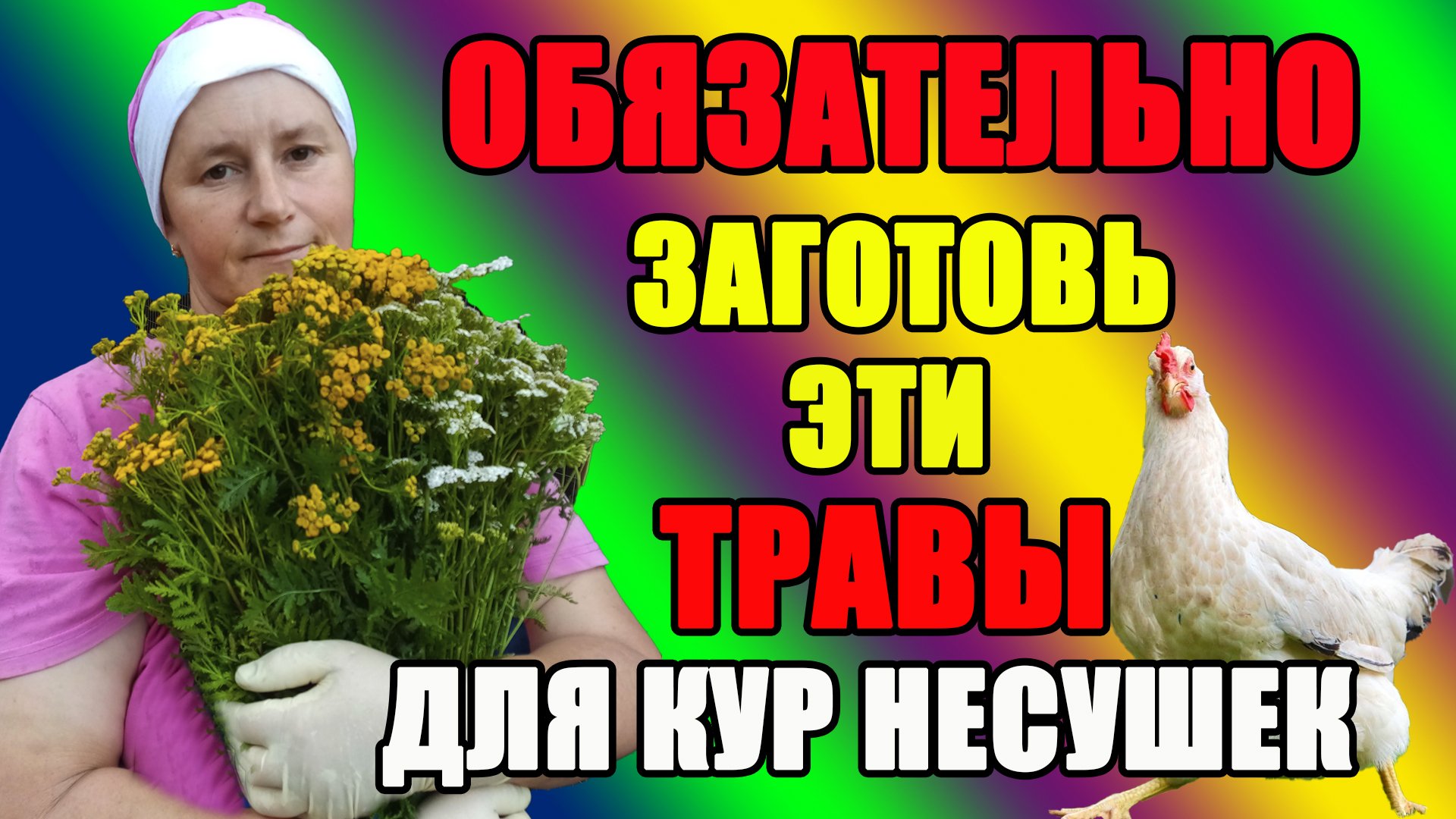 Обязательно заготовь эти ТРАВЫ для кур несушек. смотреть онлайн