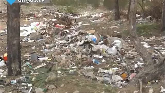 Срам стоит в Баргузине. смотреть онлайн