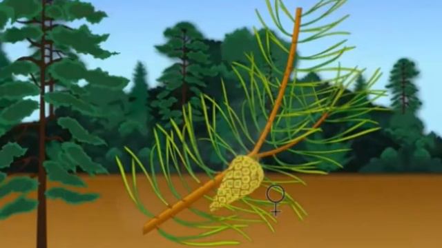 Ашықтұқымдылар смотреть онлайн