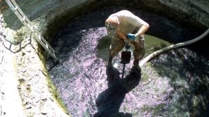 Откачка ила из пруда илососом с чисткой дна и стенок гидроударом