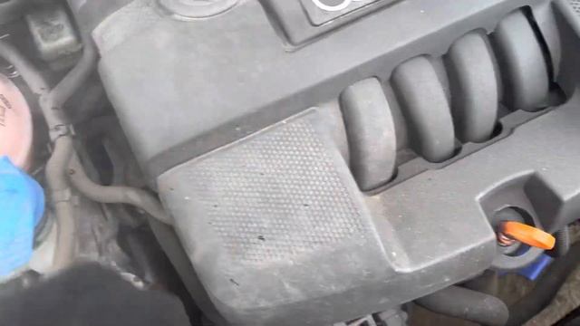 Разборка Audi - A3 (8PA) 2004-2008, 1.6 (VIN: WAUZZZ8P85A113079) RE05OHF смотреть онлайн