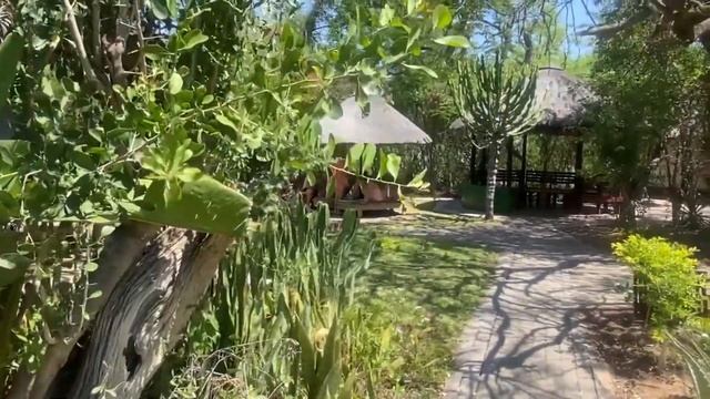 ЮАР. Сафари-2023. Главное