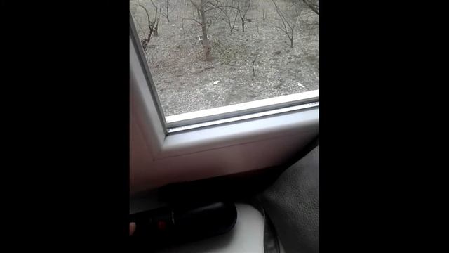 Здохла Моя 1 Колонка смотреть онлайн