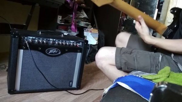 Комбоусилитель Peavey Envoy 110