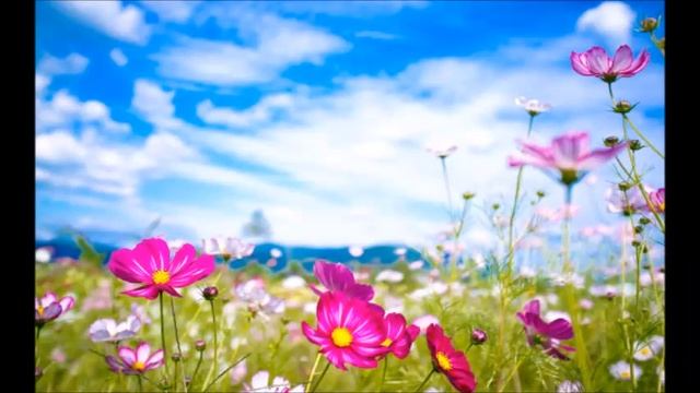 А.В.Клюев - Бодрствование Сознания это Помощь Силы и Связь с Богом в Духе - глаза Свидетеля ! смотреть онлайн