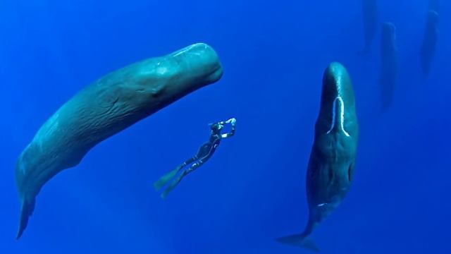 Фотограф Не Поверил Своим Глазам, Когда Увидел Это