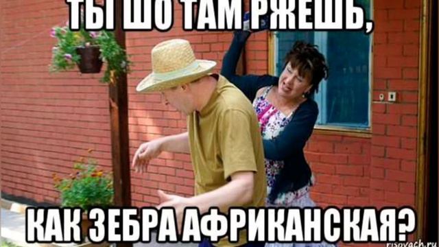 Сваты это моя жизнь смотреть онлайн
