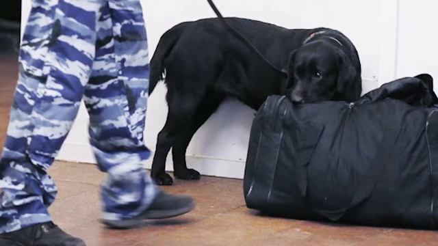 Самоделкин