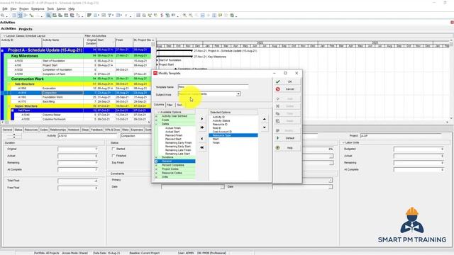 36. Export and Import in Primavera P6 смотреть онлайн