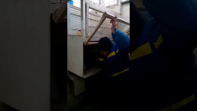 Отправить гонная голубятня Ижевские и пермяки смотреть онлайн