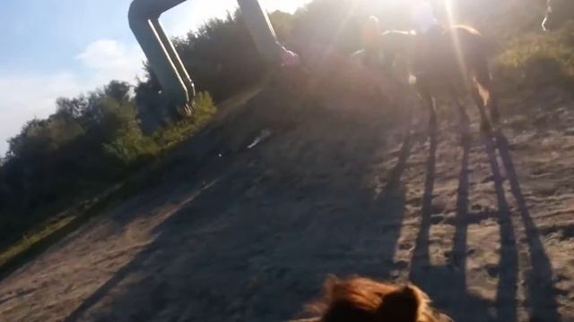 И-го-ГОУ! 28.08.2016 - Прогулка на лошадях смотреть онлайн