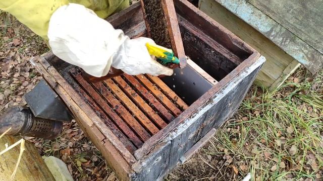 Установка утепленных заставных для комфортной зимовки пчёл. Главная ревизия перед зимовкой. #пчёлы смотреть онлайн